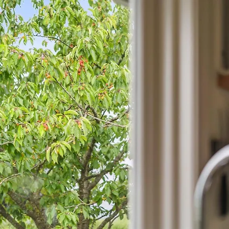 Esme - 225m To The Fjord By Interhome